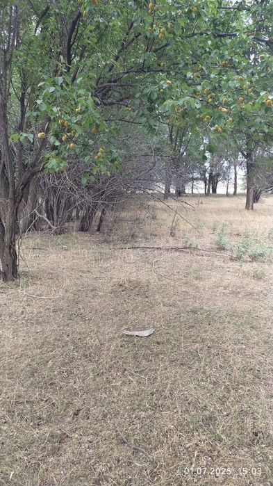 Продам земельный участок