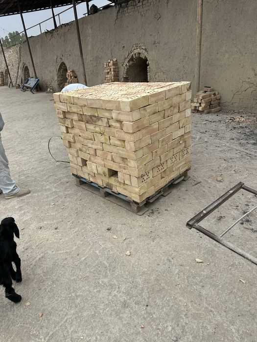 Пишкан гишт сотамиз биринчи ва иккинчи суртларда