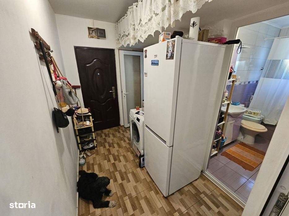 Vand ap cu 2 camere str. Borcea