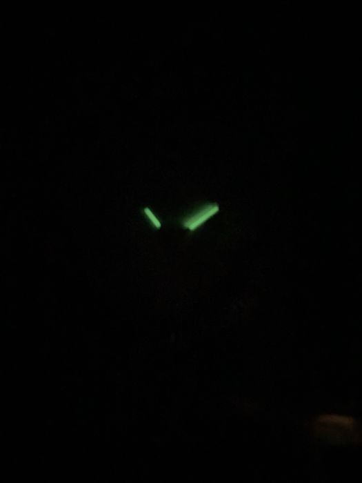 Rolex  часовник