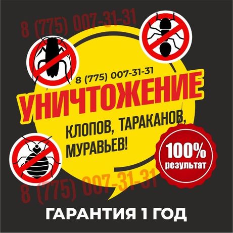 дезинфекция Уничтожение клопов ,тараканов, мыши клопы