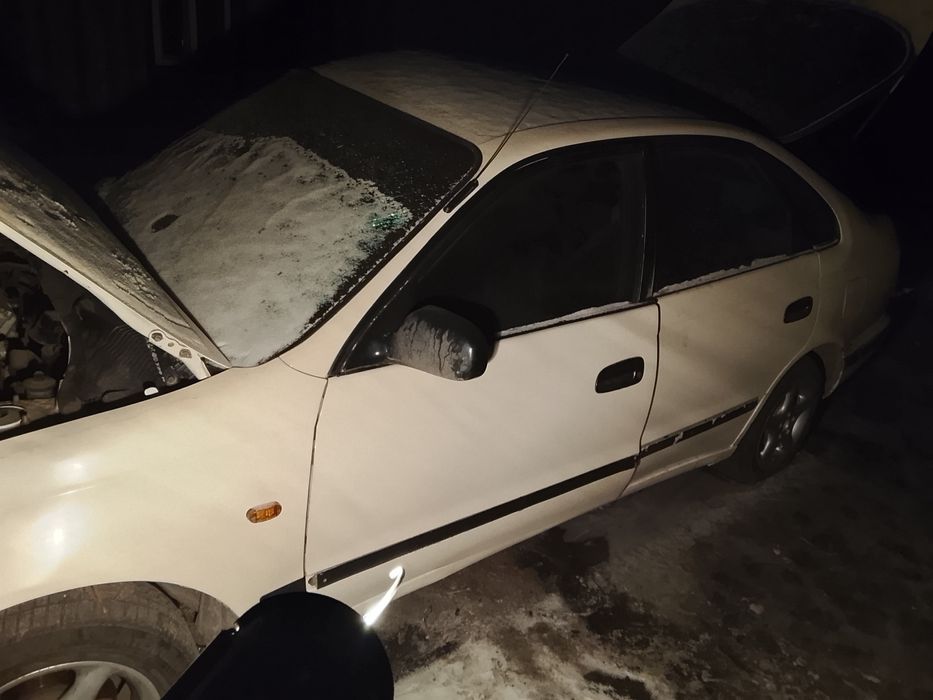 Карина Е на разбор