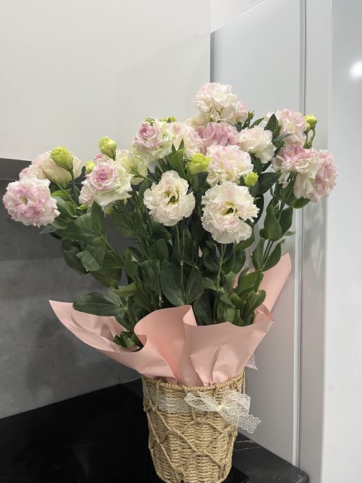 Цветы б/у Алматы