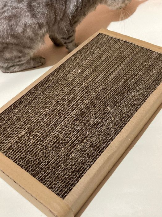 Когтеточки для кошек в Караганде