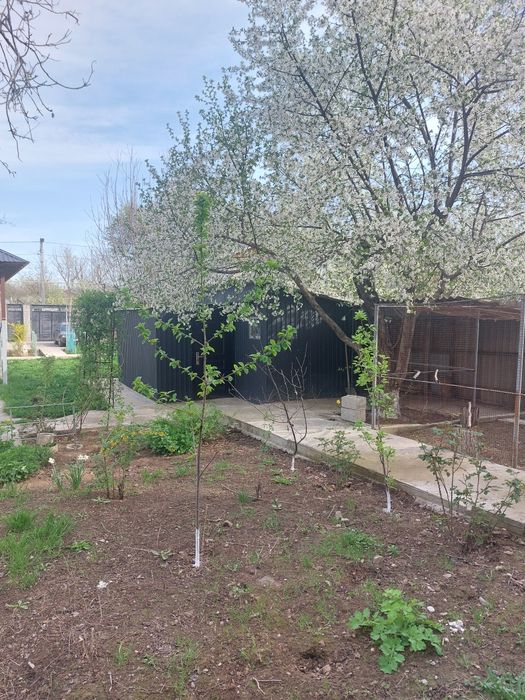 Продам дом Бозарык