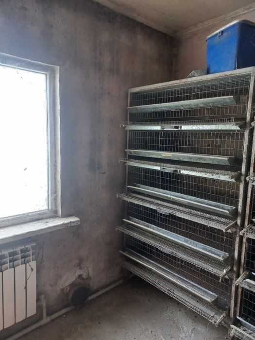 Клетки для перепелок