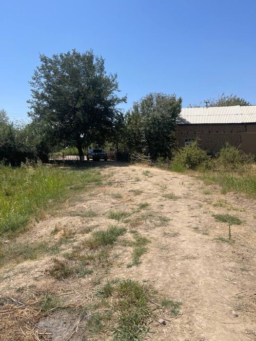 Земля 120 соток Ташморе