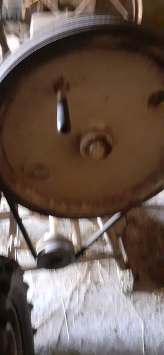 Siscornita tăiat furaje