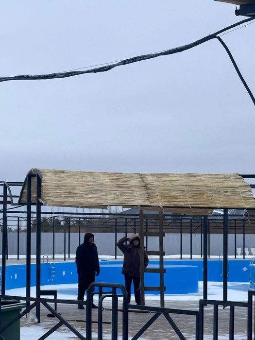 Декоративный камыш