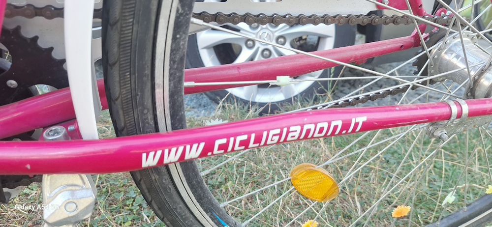 Bicicleta dame Gianon