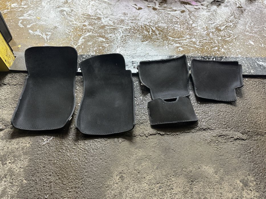 Ева полики Cobalt