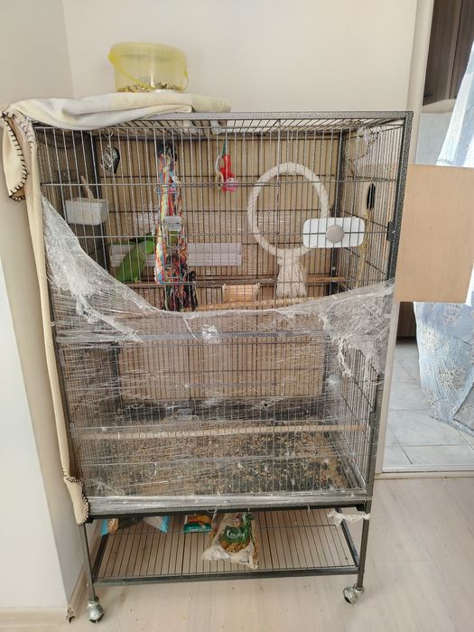 Vand colivie pt papagali