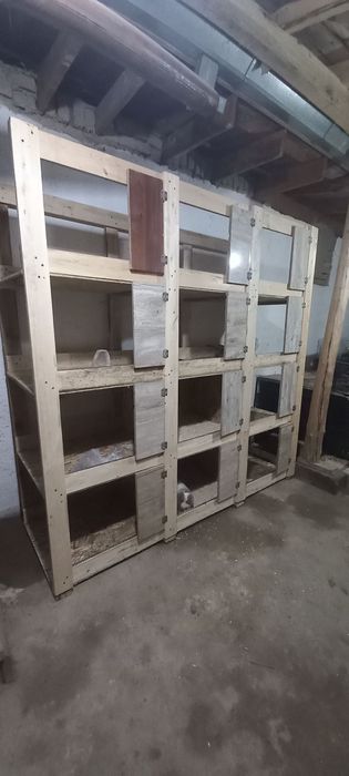 12 ta quyonga mo'ljallangan