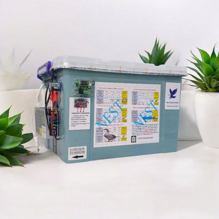 Inkubator nasiya savdoga