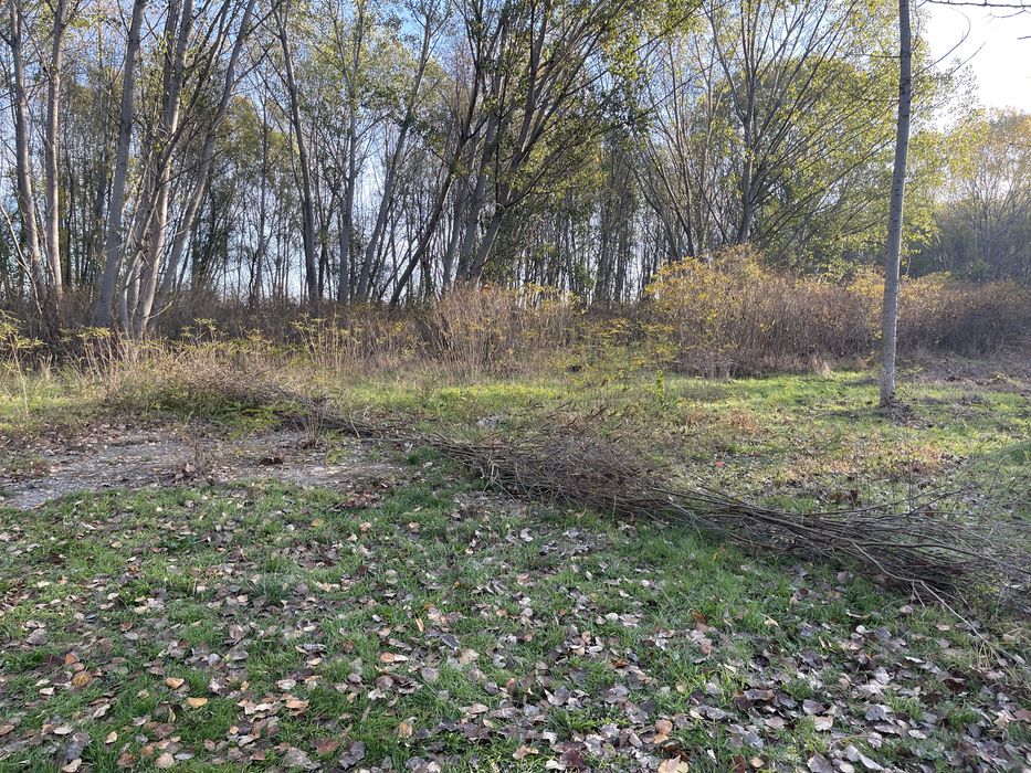 Proprietate unică pe malul Dunării in Galati ultimul lot de 2300
