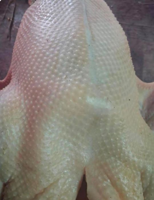 Продам домашних гусей, уток, индюков из СКО