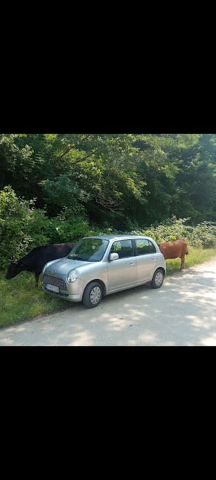 Vand masina mea personala Daihatsu Trevis , origine Japonia, motor ben
