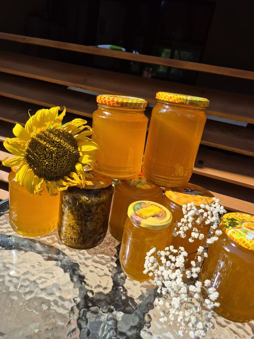 Miere de floarea soarelui