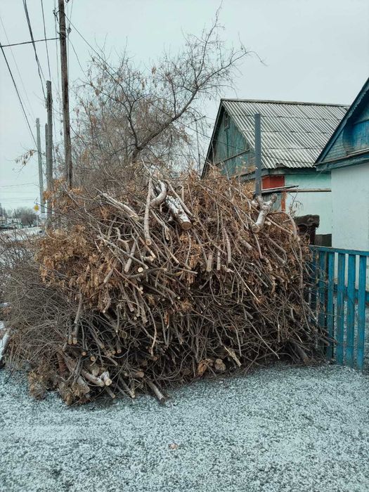 Спил обрезка аварийных леревьев