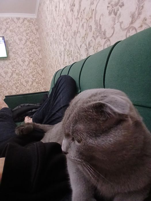 Активно ишем невесту для связки
