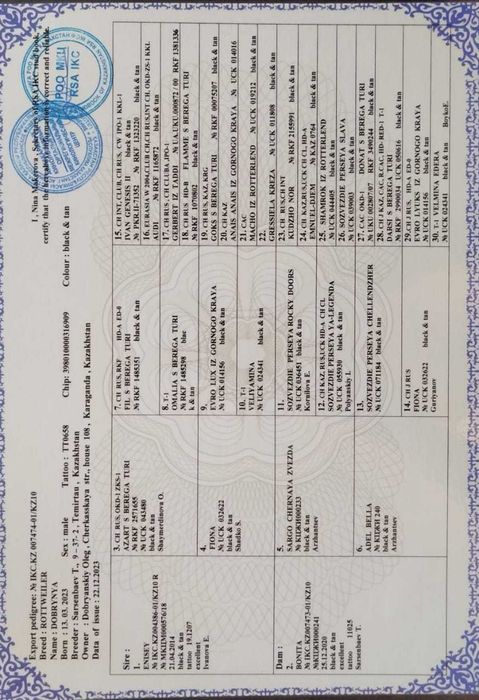 Кабель ротвейлер для вязки