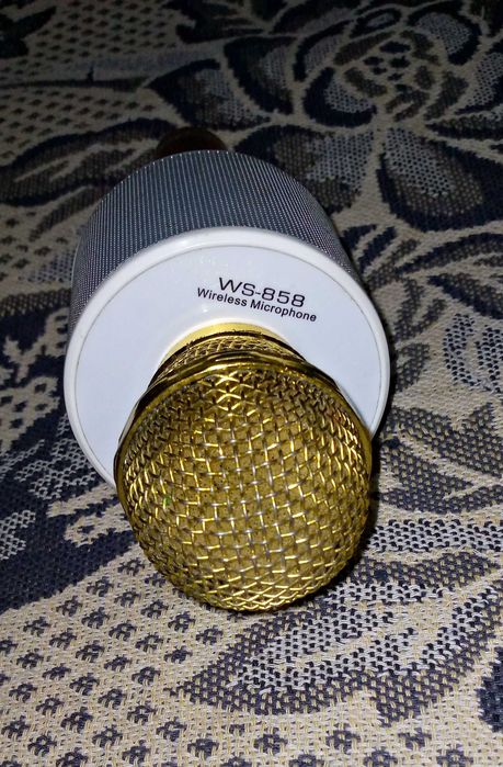Портативный микрофон Wster 858