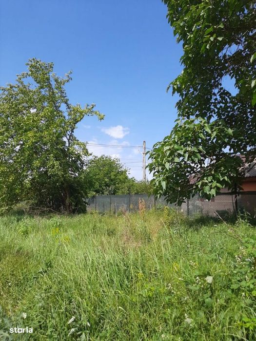 Snagov-Ghermanesti-Teren 2000 mp la sosea - 55 euro/mp