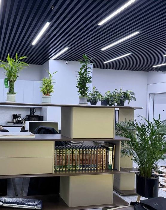 Офис 66кв в Nest one с арендатором и с ремонтом срочно