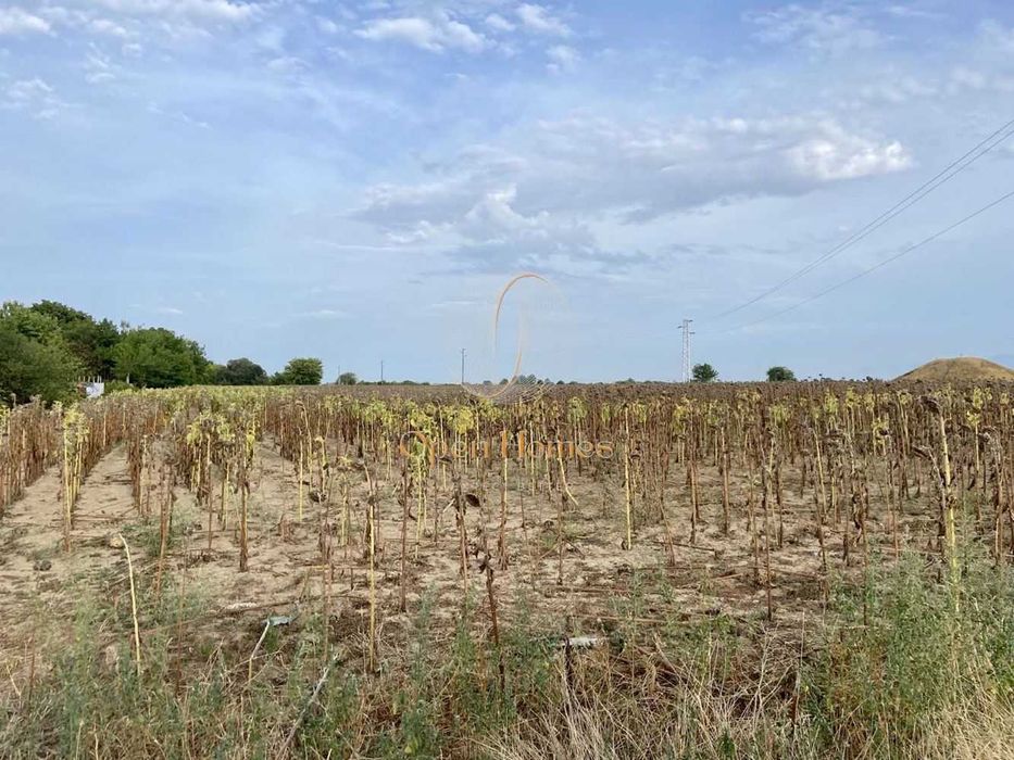 Продава се Парцел в с. Строево, Област Пловдив - 3800 кв.м за 10 €/кв.м - Снимка #2