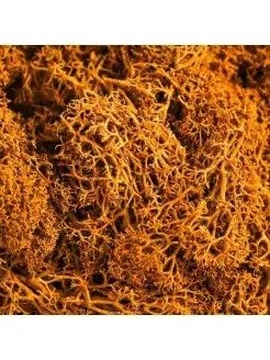 Мох стабилизированный для поделок 100 г