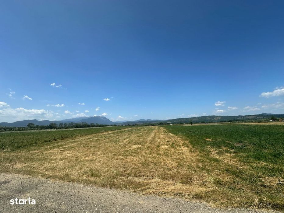 Teren 5000 mp Glajerie, zona Rasnov