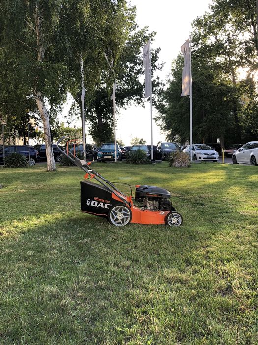 Întreținere grădină