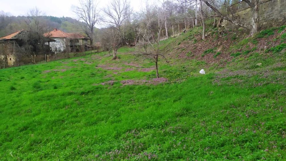 Продава се Парцел в с. Войнежа, Област Велико Търново - 2167 кв.м за 7 €/кв.м - Снимка #5