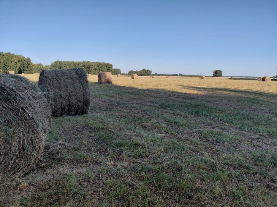 Продам сено. Возможен обмен.