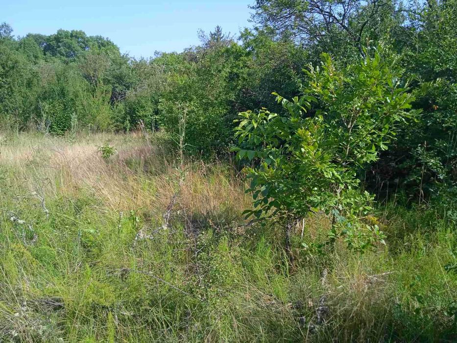 Продава се Парцел в с. Ялботина, Област София-област - 1000 кв.м за 15 €/кв.м - Снимка #9