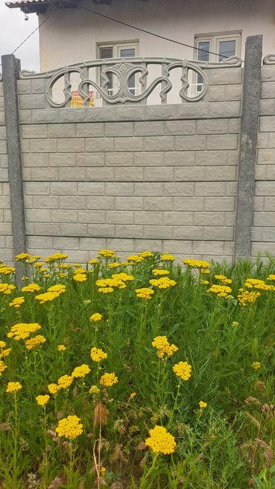 Еврозабор забор глянец