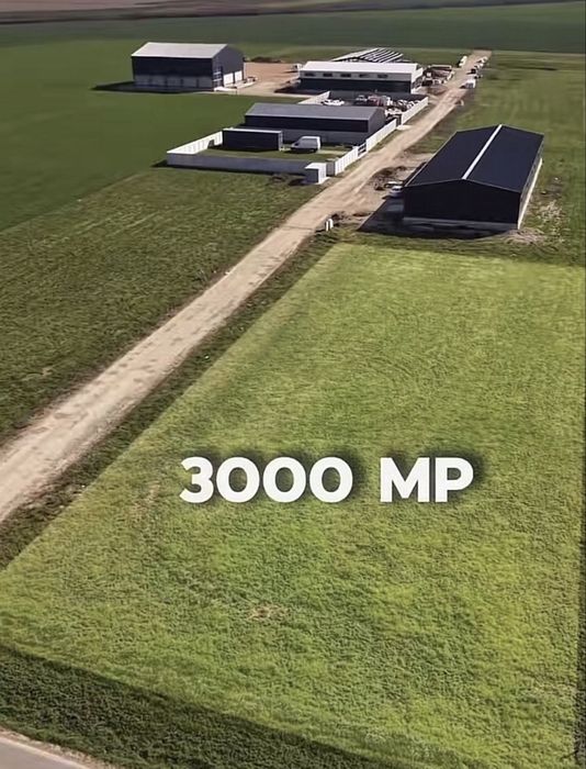 Teren intravilan de inchiriat – 3.002 MP | LIVADA DE BIHOR