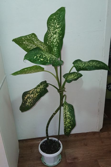 Продам крупномеры