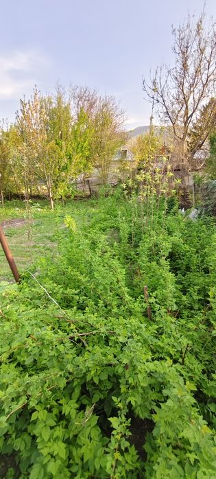 Продам дом на тихой улице