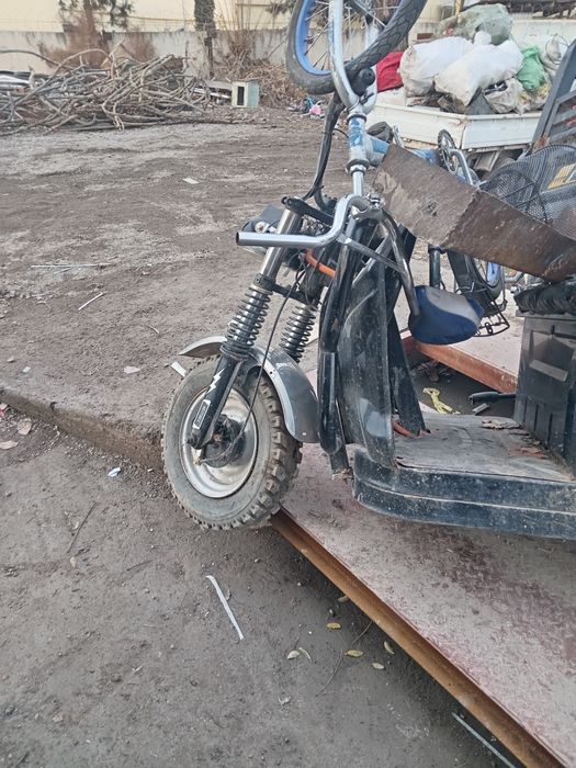 Muravei zapchasga kuzif bor