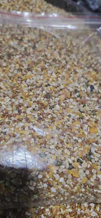 Корма и витамины для бедана