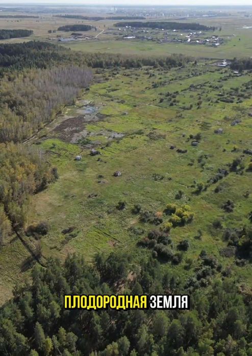 Земля 32.700  гектара