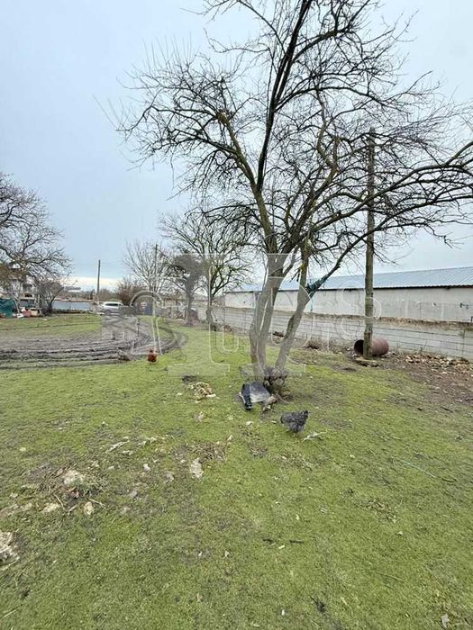 Продава се Къща в с. Гурково, Област Добрич - 99 кв.м за 196 €/кв.м - Снимка #13