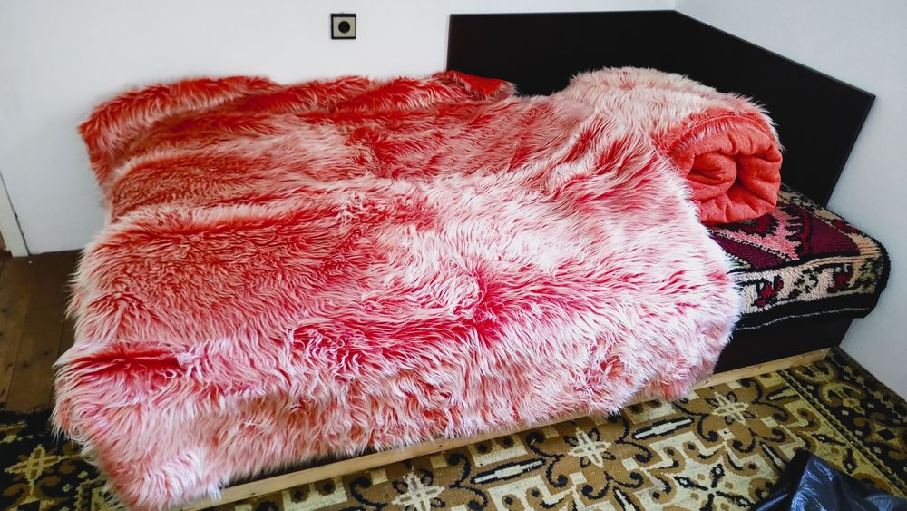 Болна дългокосместа в два цвята - розова, зелена, оранжева.