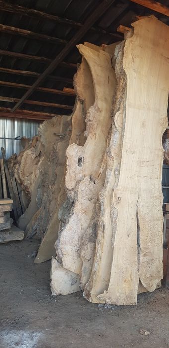 Слэбы каповые карагач