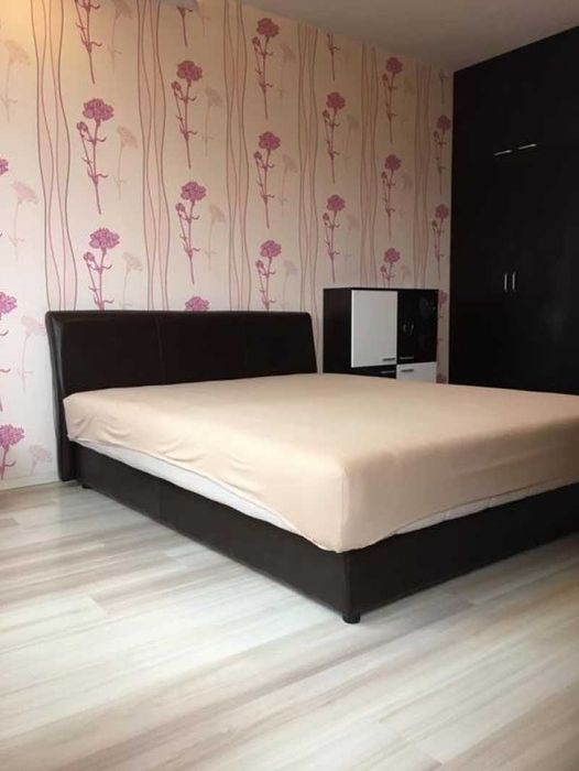 Двустаен апартамент в Левски