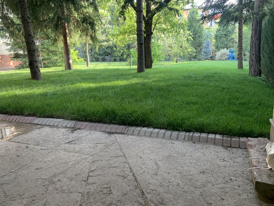 Газон озеленение