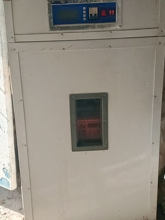 Inkubator sotiladi holati yaxshi 352ta tushum qoʻysa boʻladi tuxumlar