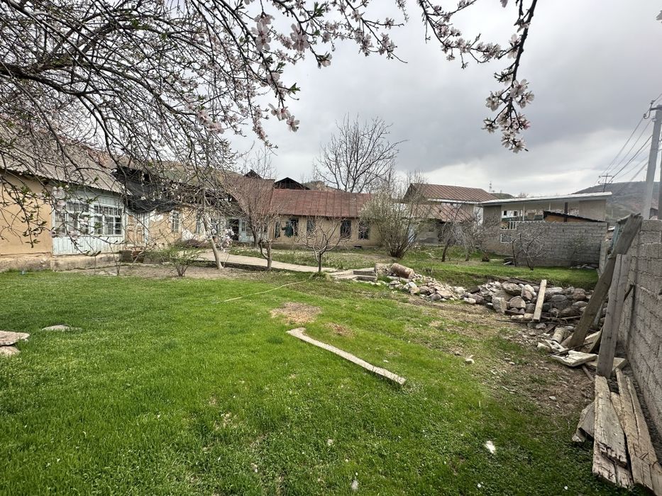 Dacha biznes qilaman diganla uchun yer sotiladi