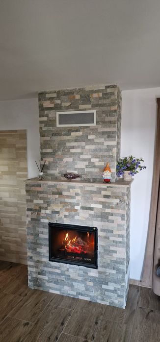 Seminee  pe lemne economic